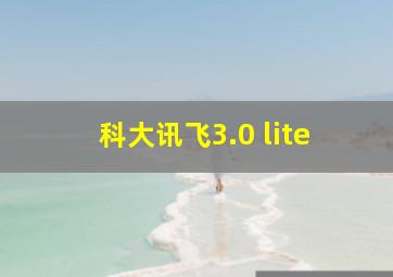 科大讯飞3.0 lite